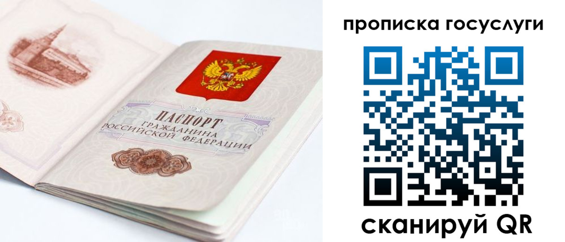 временная регистрация в Чкаловске